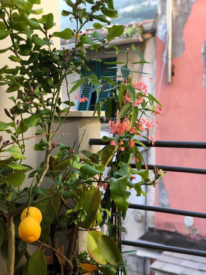 La Polena Camere Vernazza - Carattino Apartment Dış mekan fotoğraf